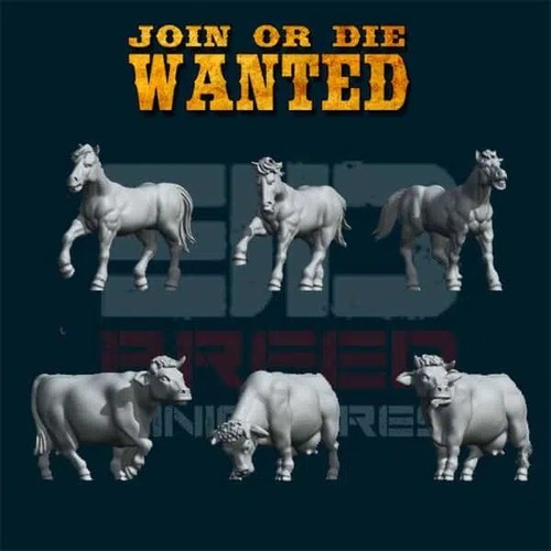 Rinder wildpferde kuh - -,