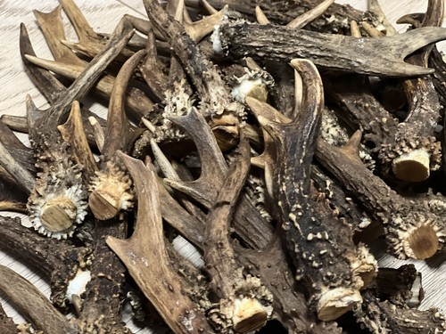 1kg mix aus schottischem - aus,