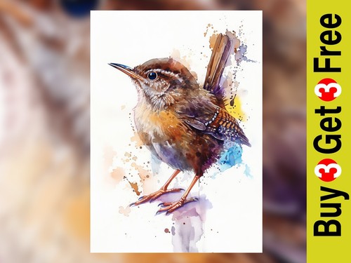 Bezaubernder zaunkönig vogel - bezaubernder,